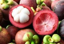 学会挑选山竹小窍门不再靠运气看准后个个没核还特别甜