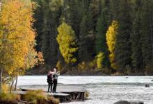 新疆游客断崖式下跌吗