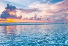海草床红树林和哪类沿海生态系统被定义为蓝色碳汇 蓝色碳汇是什么意思