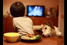 孩子是个电视迷这七大禁忌家长不可不知身心双重影响