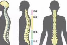​长时间坐姿对脊椎健康有什么影响脊椎健康保护措施有什么