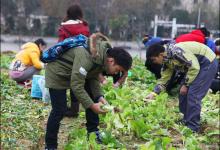 大学生如何培养劳动情感和劳动态度？