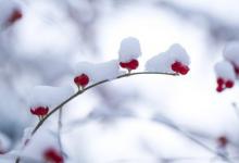 雪天出行安全注意事项 雪天行车注意安全