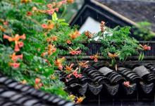 梅雨时节是指几月梅雨时节是什么季节