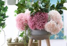 入秋后，这7种花可别乱修剪，剪了要白养一整年，别想再开花