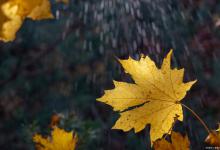 寒露过后，别拿你的气血抗风寒，这3个部位不可再露了！小心损耗宝贵的阳气