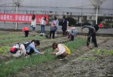 大学生如何提高劳动安全意识？