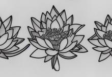 纹莲花的忌讳讲究