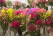 花店鲜花怎么保存