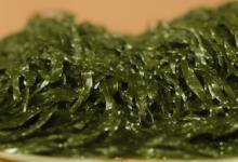 紫菜怎么做好吃
