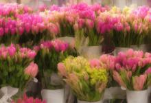 开花店需要学什么技术