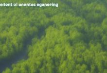 环境科学与工程专业学什么