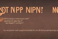 npc是什么意思