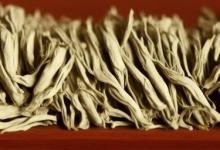 福鼎白茶怎么样