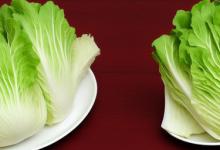 大白菜怎么做好吃