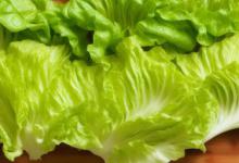 油麦菜怎么做好吃