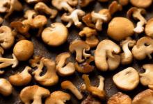 香菇怎么炒好吃又简单