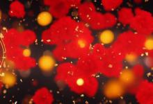 重阳节是什么星座