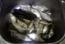 菜市场里“最脏”的5种鱼，含有重金属寄生虫，尽量少给家人吃