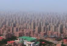 青岛特产是什么