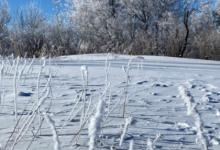 哈尔滨亚布力滑雪场现在开放了吗