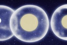 星月菩提有什么寓意