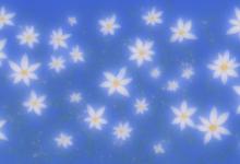 蓝满天星的花语