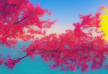 阳光理想城花语海