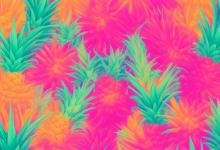 空气凤梨的花语