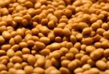 怎么炒黄豆好吃又简单