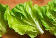 圆生菜怎么凉拌才好吃
