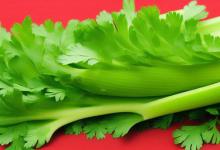 芹菜叶怎么凉拌好吃