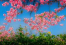 5月份适合去哪里旅游