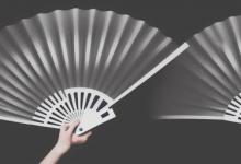 拥趸是什么意思
