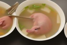 止咳猪肺汤的做法