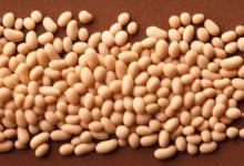 豆浆豆子泡多久