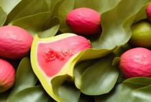 番石榴皮可以吃吗