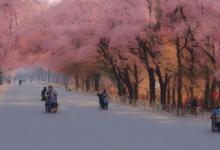 三衢道中描写的是什么季节的景色
