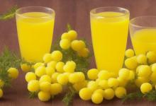 含羞草的药用价值