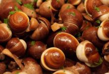 怎样炒田螺好吃