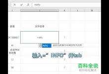 如何在Excel文档中使用INFO函数