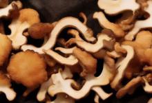 松茸炒什么好吃
