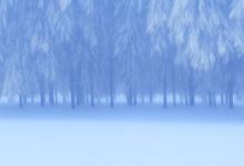 描写雪的优美句子