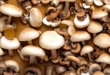 香菇油面筋的做法