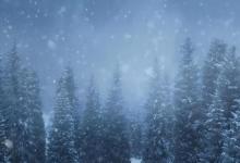 冬至到小寒：阴气盛行的15天，别拿你的气血抗风寒！4大宜忌不得不知