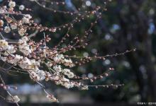 冬天阳气虚弱？多吃这7种食物！