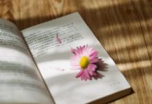 蒙奇奇是什么意思