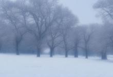 冬天适合卖什么