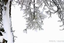 小寒前做这几件事，散掉身体1年的寒气