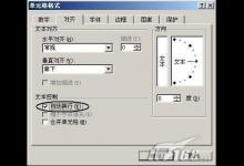 Excel电子表格文本换行技巧总结